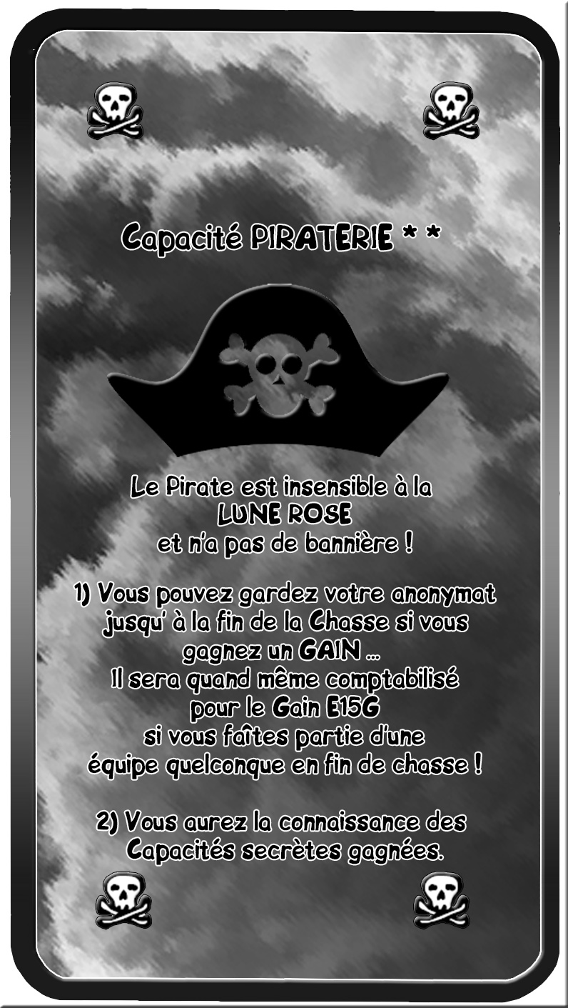 CAPACITE PIRATERIE.jpg