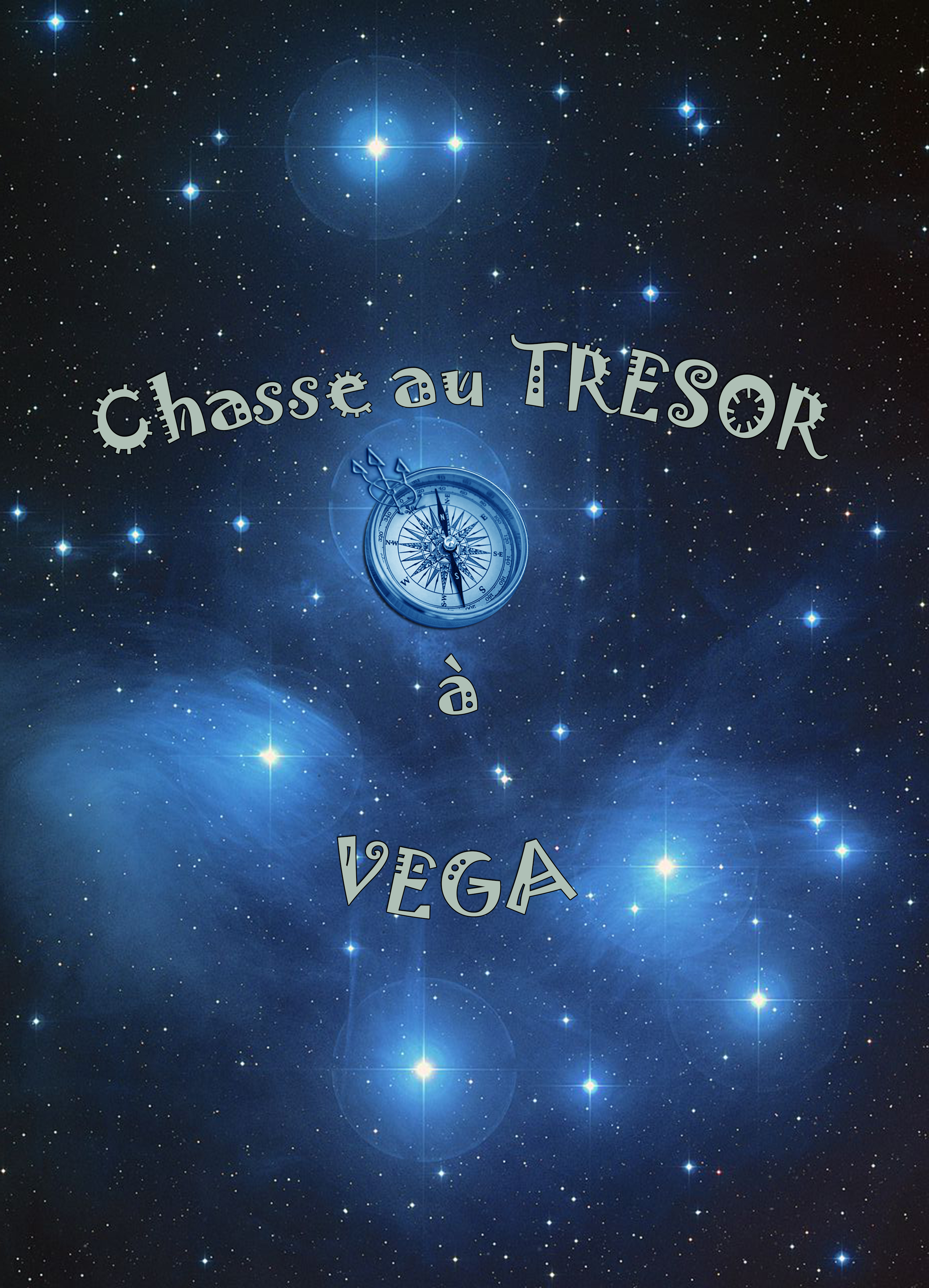 Site Chasse au TResor a vega 4.jpg