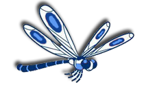 Libelula.png